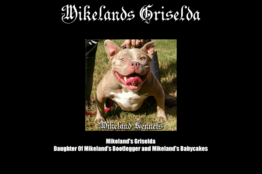 Mikeland's Griselda