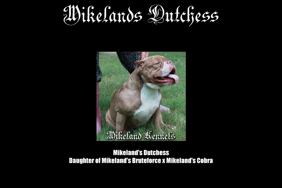 Mikeland's Dutchess