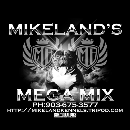 Mikeland's Mega Mix