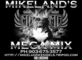 Mikeland's MegaMix